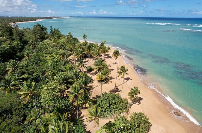 PR Chinchorreo-Beach and Bar Hopping Tour - Humacao and the Avatar 2 Connection