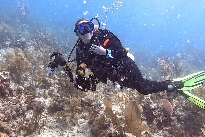 Private 2-Tank Dive with PADI Instructor for Certified Divers - At a glance