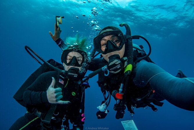 Private 2-Tank Dive with PADI Instructor for Certified Divers - Why a private boat changes the day