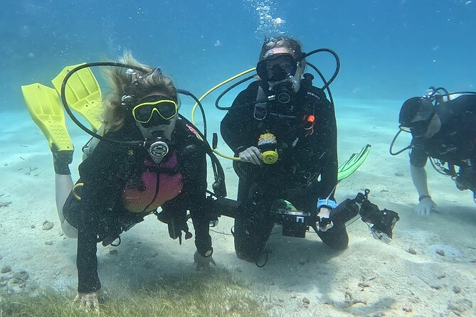 Private 2-Tank Dive with PADI Instructor for Certified Divers - The second reef and the coral restoration farm