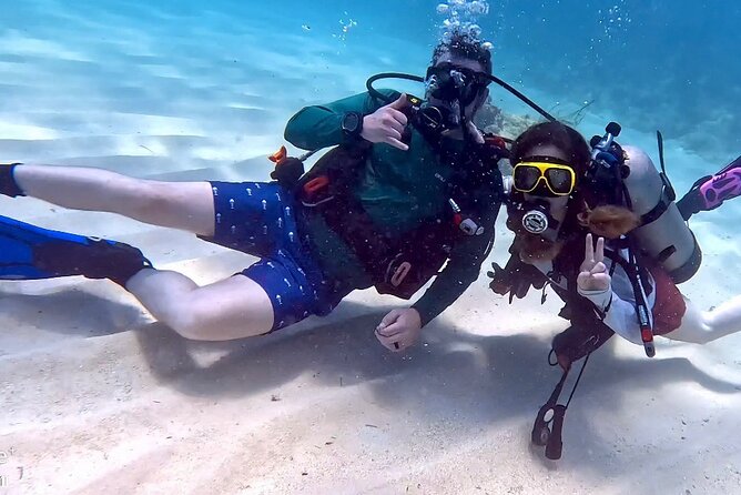 Private 2-Tank Dive with PADI Instructor for Certified Divers - Safety, comfort, and recent experience