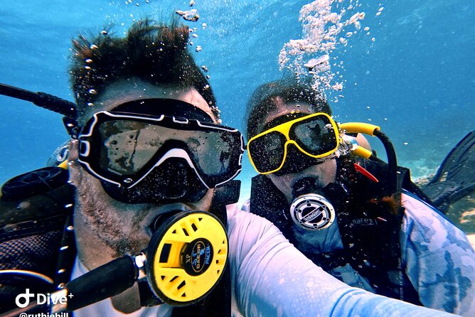 Private 2-Tank Dive with PADI Instructor for Certified Divers - The first reef: Northeast Puerto Rico underwater