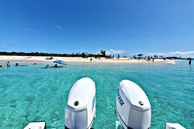 Private All-Inclusive 22ft Boat Guided Snorkeling Icacos Palomino - Key points at a glance