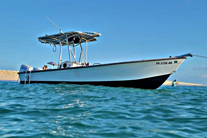 Private All-Inclusive 22ft Boat Guided Snorkeling Icacos Palomino - What $550 means for the value