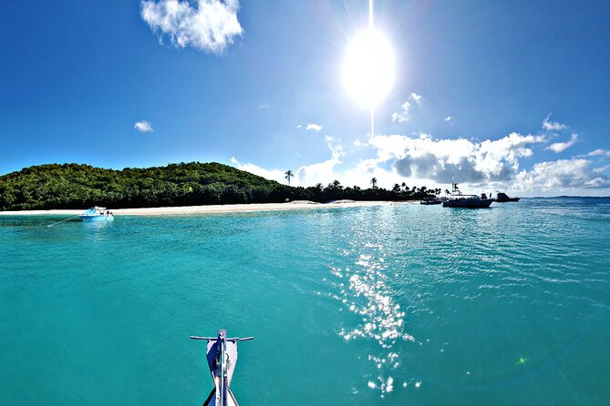 Private All-Inclusive 22ft Boat Guided Snorkeling Icacos Palomino - Who should book this Fajardo boat tour?