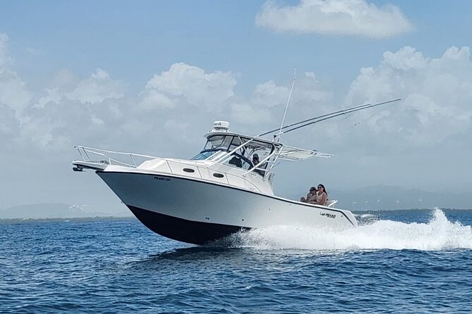 Private All Inclusive East Coast Keys Tour and Snorkel Experience - Palomino Beach: a second chance to swim and relax