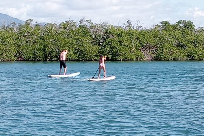 Private Day Sail - South Coast of Puerto Rico - Swimming, Snorkeling, and Paddleboarding