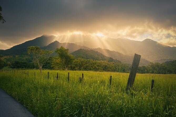 Private El Yunque Half-Day Tour with Transport - Safety rules are strict for a reason