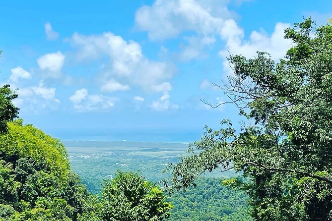 Private El Yunque Tour To Hidden Waterfall Remote Area - What to Bring and What to Confirm