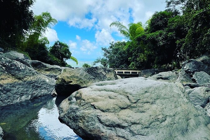 Private El Yunque Tour To Hidden Waterfall Remote Area - Booking Demand and Timing
