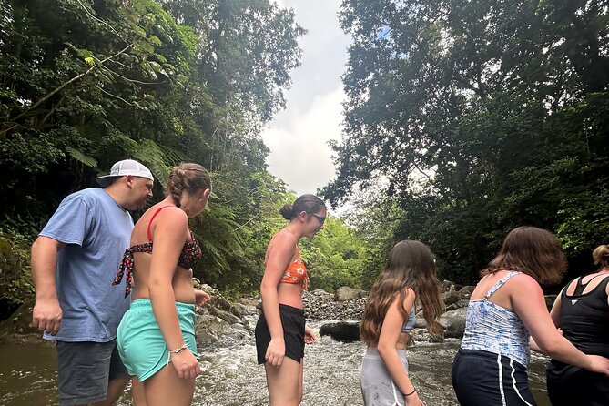 Private El Yunque Tour to Waterslide and Waterfalls - Why a 7 a.m. Start Makes Sense