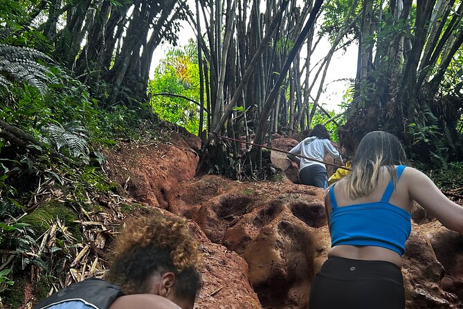 Private El Yunque Tour to Waterslide and Waterfalls - Photos, Snacks, and the Personal Touch