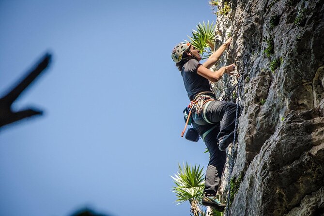 Private Guided Rock Climbing Trips in Puerto Rico - Why a private group changes the experience