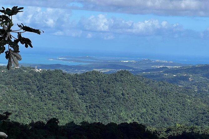 Private Guided Tour in Puerto Rico - A 6:00 a.m. start for a full Puerto Rico day