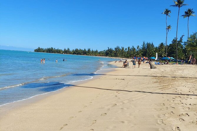 Private Guided Tour in Puerto Rico - What the $100 price really buys you