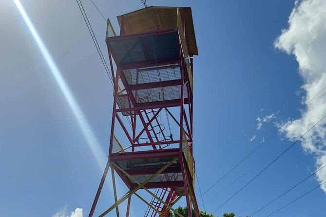 Private Guided Tour in Puerto Rico - Physical effort, comfort, and what to bring