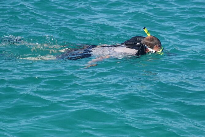 Private Half-Day Sailing and Snorkeling Tour - Why the Private Group Size Changes the Experience