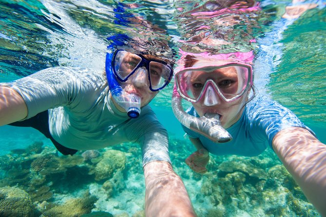 Private Rincon Snorkeling Adventure - What the Three Hours Are Likely to Feel Like