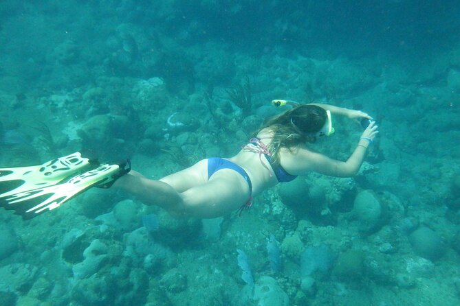 Private Rincon Snorkeling Adventure - The Best Parts of the Reef Experience