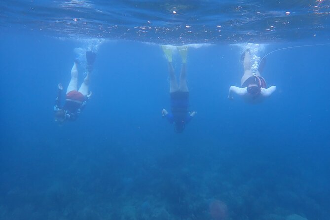 Private Rincon Snorkeling Adventure - Who Will Get the Most From This Tour