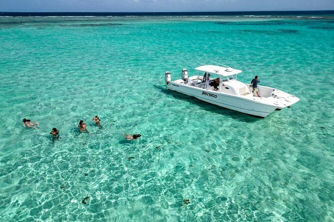 Private Snorkel and Cruise Experience in Ceiba - A private boat day from Roosevelt Roads