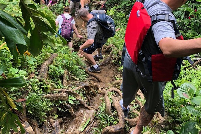 Private Tour of El Yunque Rainforest from San Juan - A private El Yunque day from San Juan