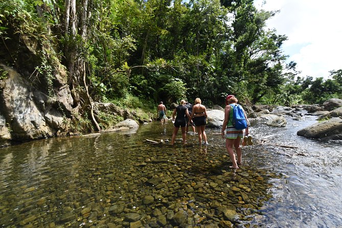 Private Tour of El Yunque Rainforest from San Juan - The gentler El Yunque option