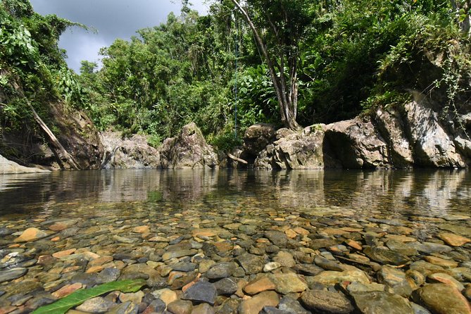 Private Tour of El Yunque Rainforest from San Juan - Who gets the best value from this tour