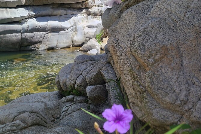 Private Tour of the White Canyon Ancestral Route in Utuado - Who should book this canyon tour