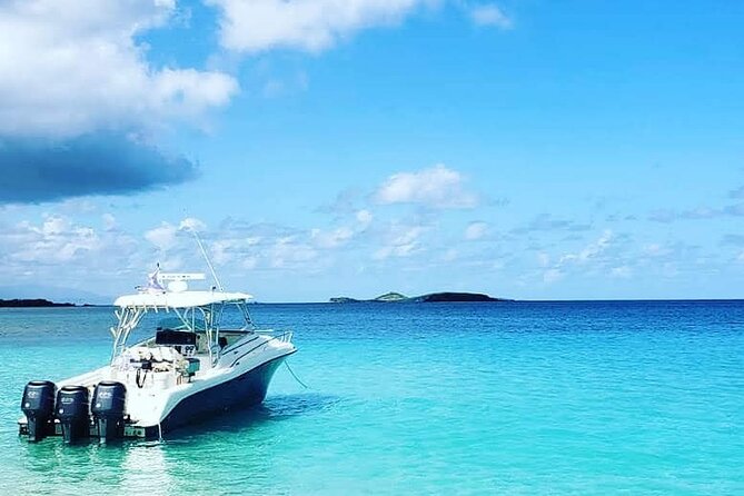 Private Tour to Cayo Icacos and Palomino Island - Key points before you book