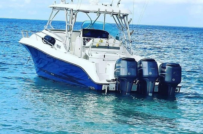 Private Tour to Cayo Icacos and Palomino Island - Timing, weather, and what to bring