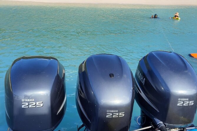 Private Tour to Cayo Icacos and Palomino Island - Who should book this private island day?