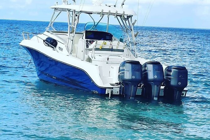 Private Tour to Cayo Icacos and Palomino Island - Final verdict: book it for privacy and water time