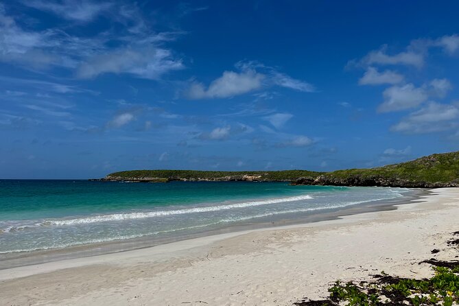 Private Tour to the East Side of Puerto Rico - The guides can make or break the experience