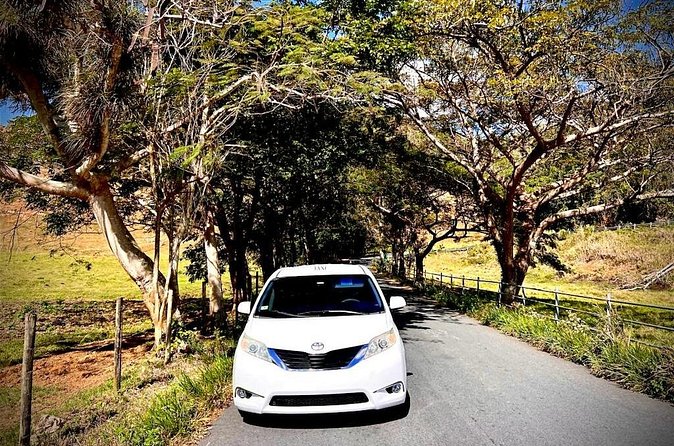 Private Transfer Fajardo or Ceiba to San Juan Airport - Safety, family use, and special assistance