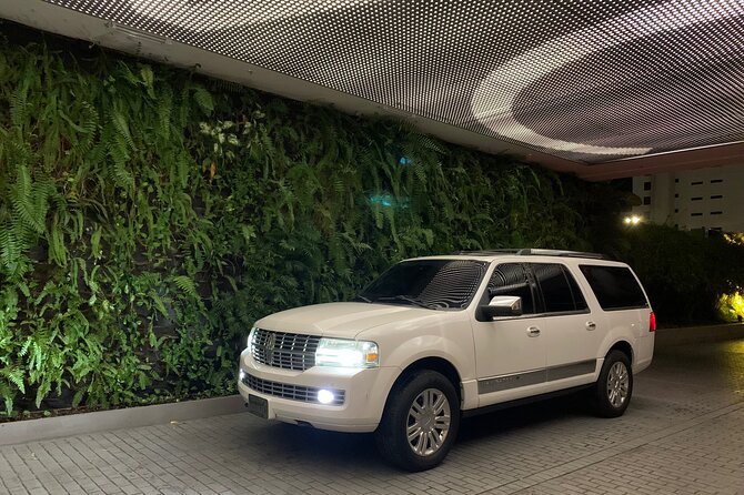 Private Transfer Puerto Rico:To or From Airports, Hotels &Cruises - A private arrival at Luis Muñoz Marín Airport