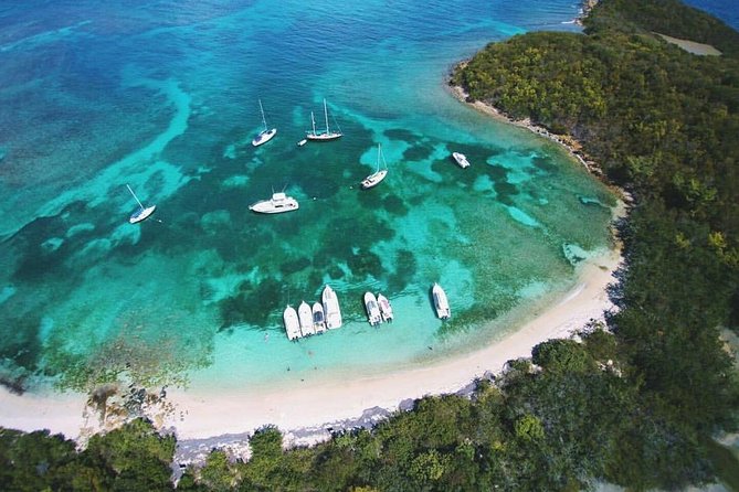 Public or Private Boat Trip to Icacos & Palomino - Key points to know before you book
