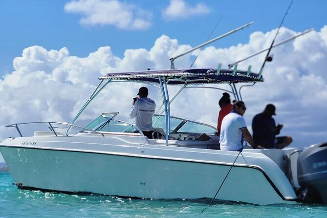 Public or Private Boat Trip to Icacos & Palomino - Can you visit both islands in four hours?