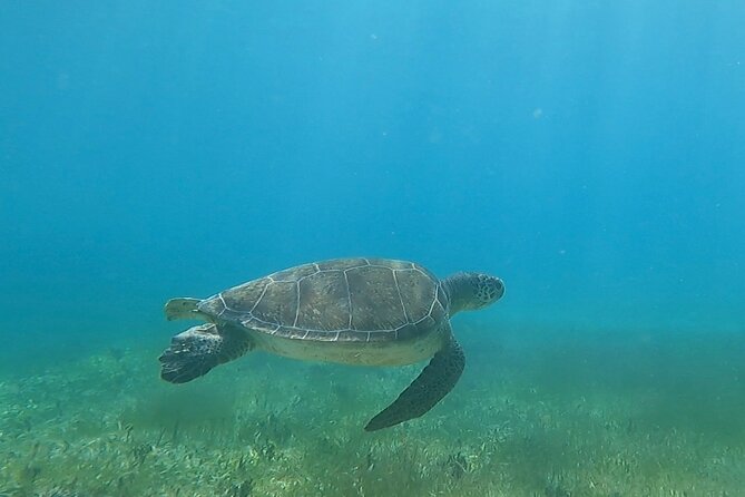 Public or Private Boat Trip to Icacos & Palomino - Lunch, rum drinks, and the practical meaning of all-inclusive