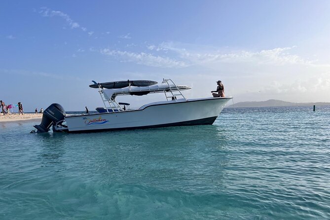 Public or Private Boat Trip to Icacos & Palomino - Palomino Island for an easier celebration