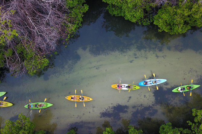 Puerto Rico Bio Bay Kayak Adventure Tour - Timing, moonlight, and the glow