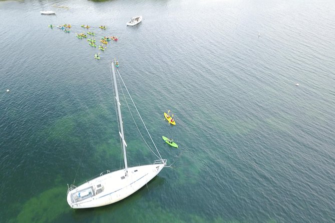 Puerto Rico Bio Bay Kayak Adventure Tour - Who should book this kayak trip?