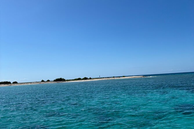 Puerto Rico: Bio Bay Swim and Sunset Charter or Late night tour - Key points to know before you book