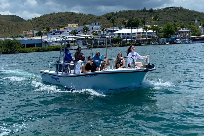 Puerto Rico: Bio Bay Swim and Sunset Charter or Late night tour - From the Lajas dock to the sandbar