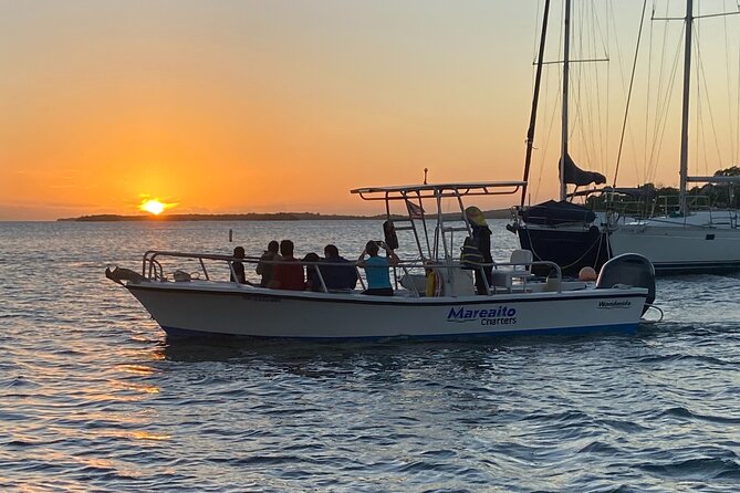 Puerto Rico: Bio Bay Swim and Sunset Charter or Late night tour - Sunset departure or late-night biobay trip