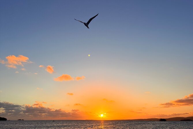 Puerto Rico: Bio Bay Swim and Sunset Charter or Late night tour - What to pack for the two-hour outing