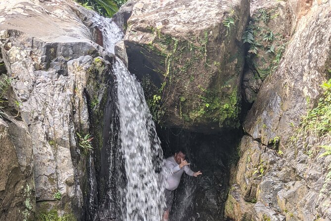 Puerto Rico Countryside Tour with Visit to Waterfall - The drive to Carite Forest Reserve