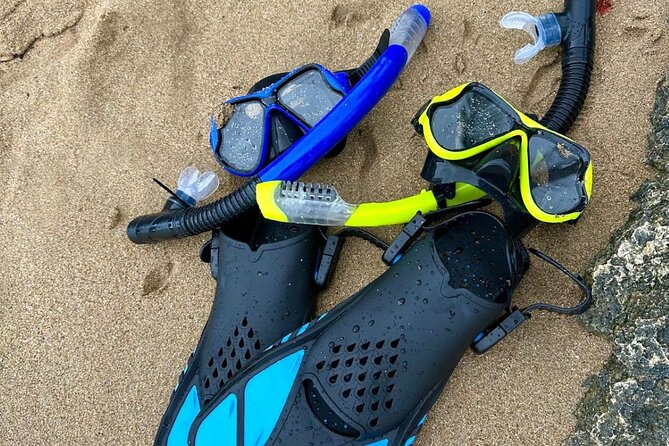 Puerto Rico: Crash Boat UTV Experience with Snorkel Gear - Survival Beach: A Quick Look at Aguadilla’s Rougher Coast