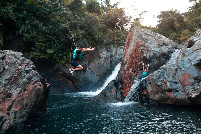 Puerto Rico El Yunque Rainforest with Transportation - Key points to know before you book