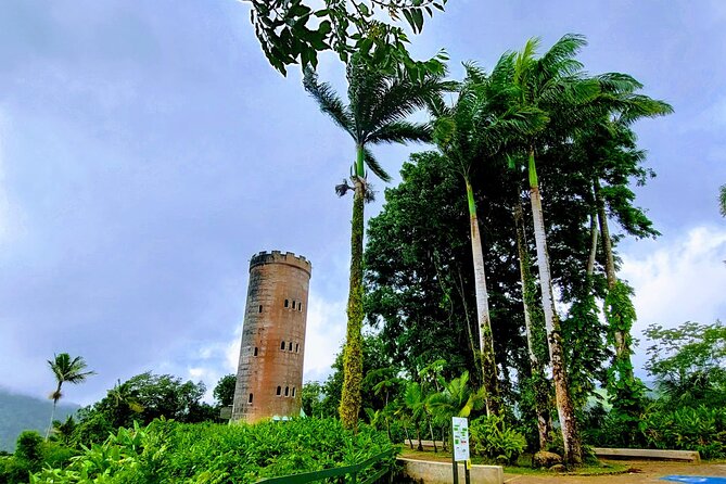 Puerto Rico: El Yunque Sightseeing Half-Day Tour w/Transfer - Key points to know before you book